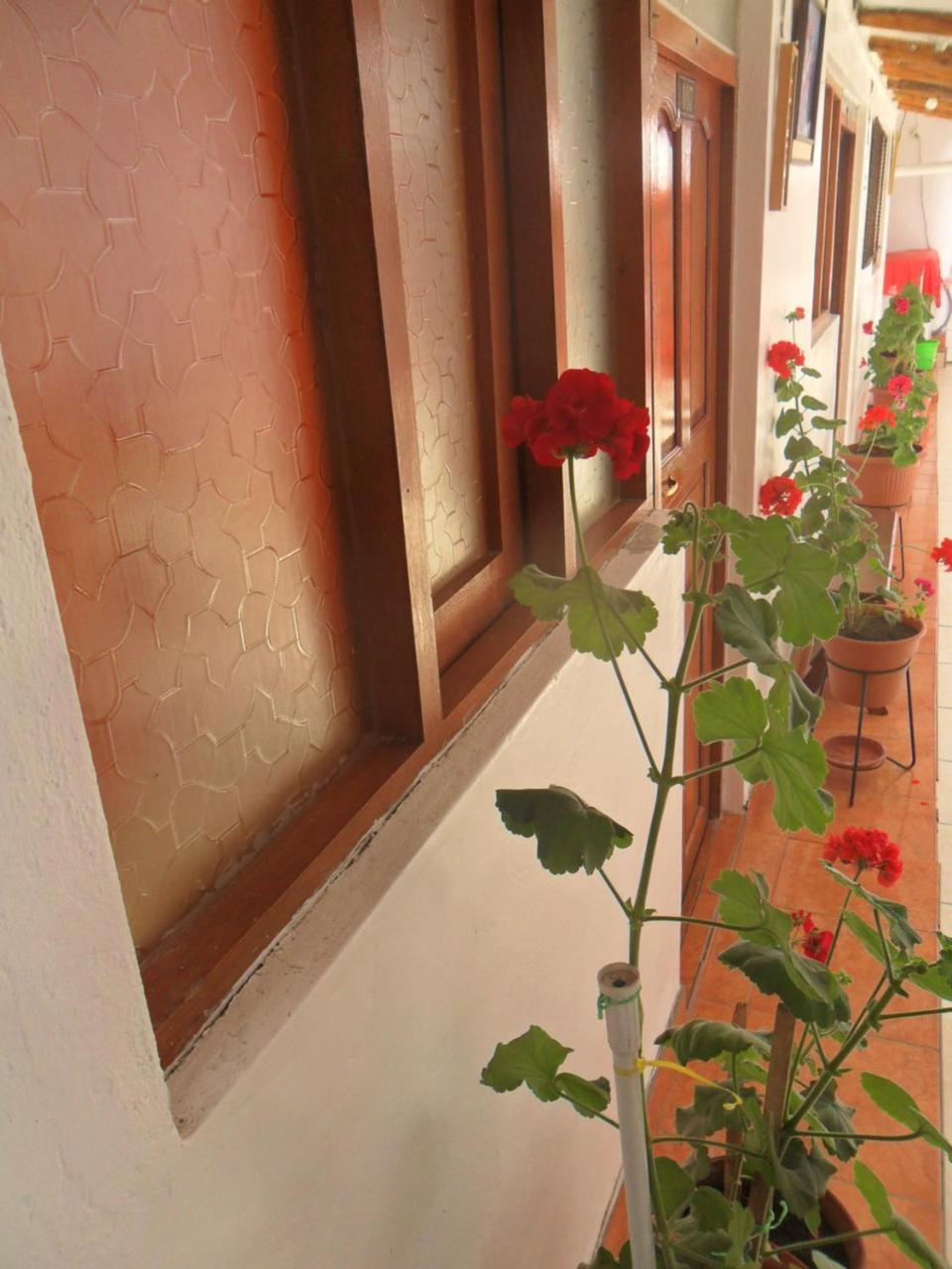 Casa 7 Cusco Hotel Eksteriør billede